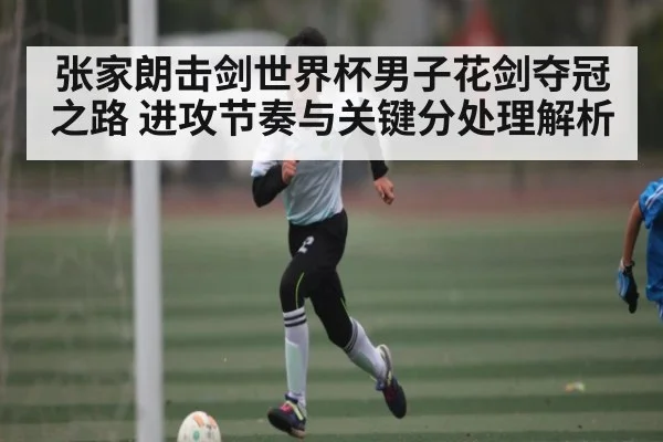 张家朗击剑世界杯男子花剑夺冠之路 进攻节奏与关键分处理解析